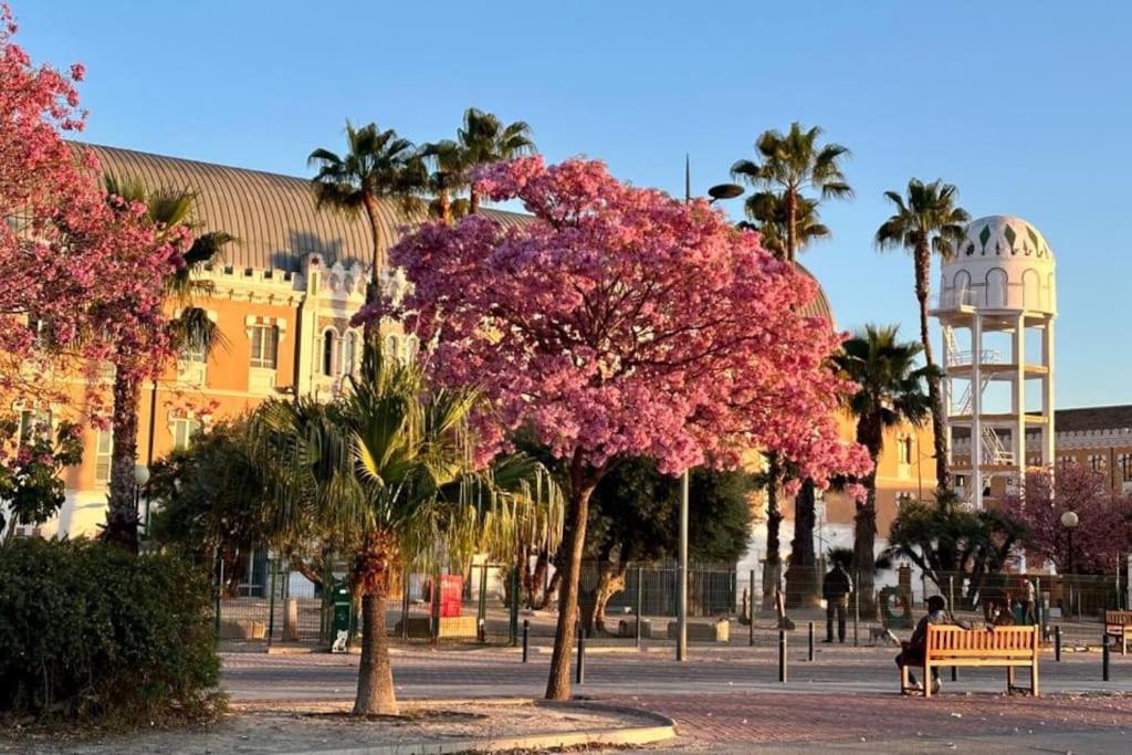 Apartamento Jacaranda Murcia Dış mekan fotoğraf